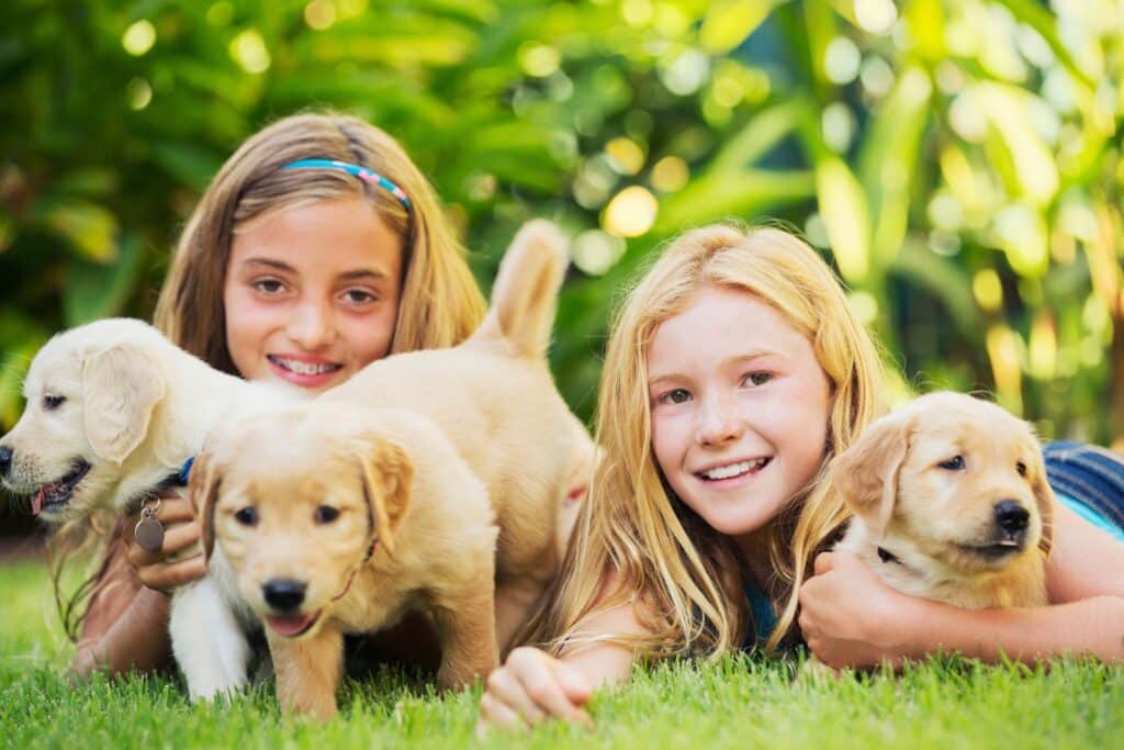 Two smiling girls, wearing braces, playing with golden retriever puppies outdoors.